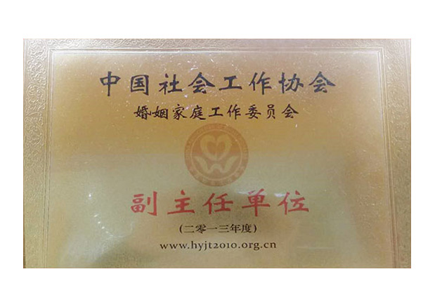 中国社会工作协会副主任单位